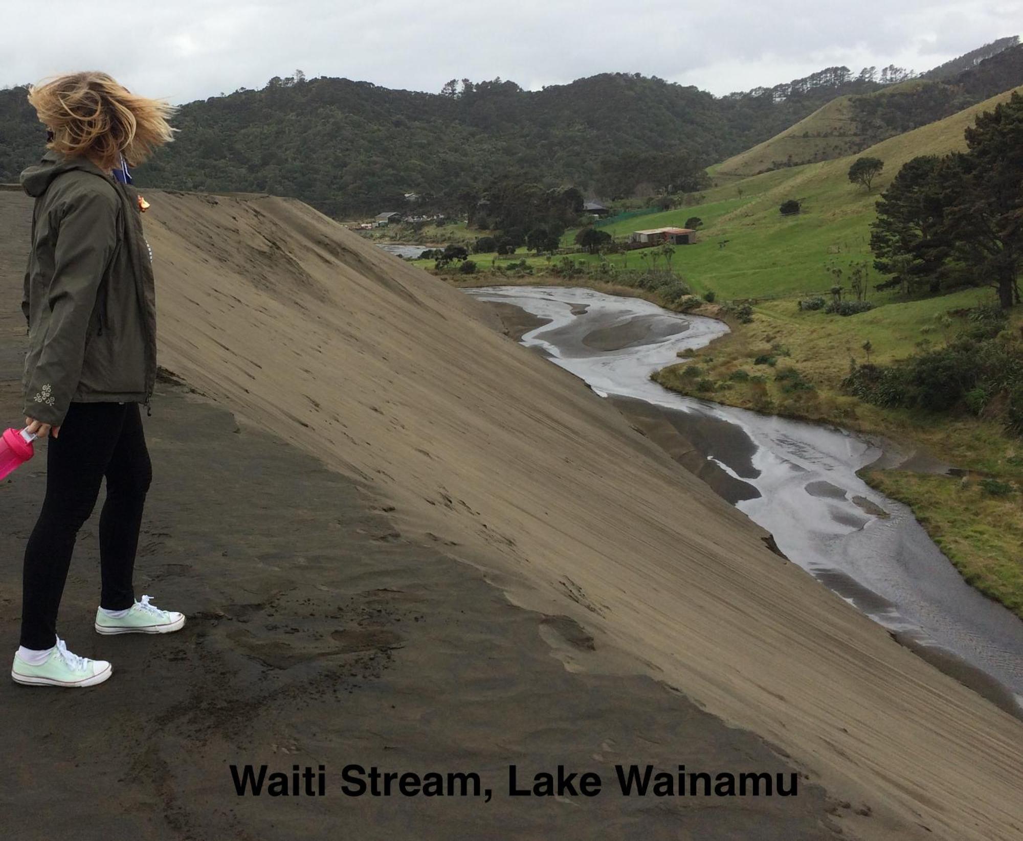 Vila Te Henga Hideaway Bethells Beach Exteriér fotografie