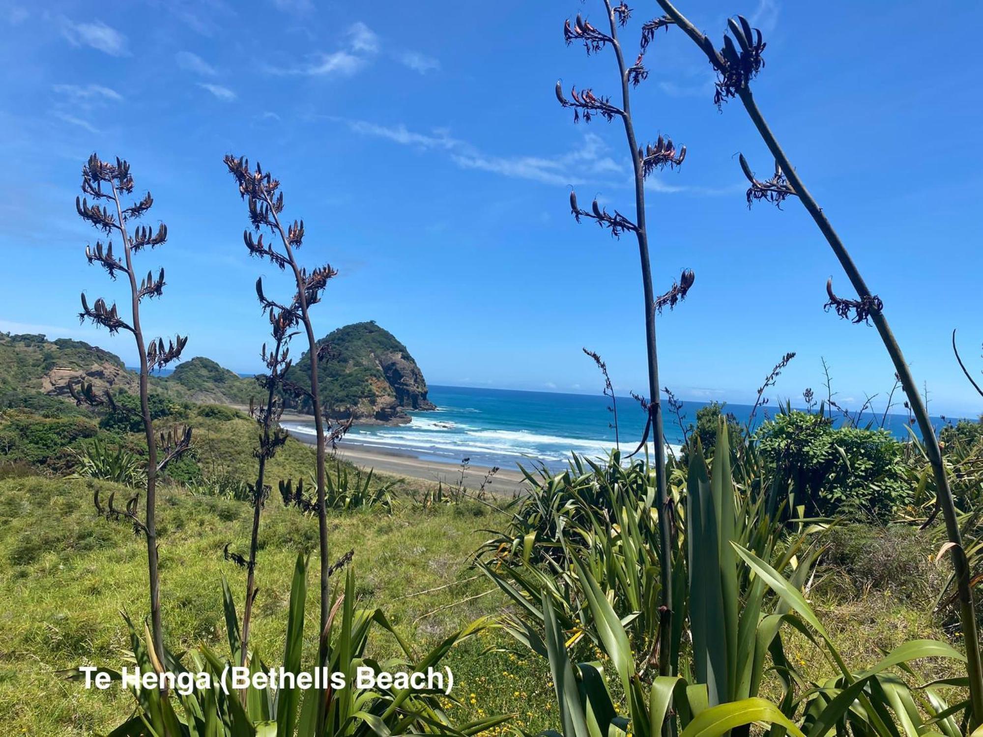 Vila Te Henga Hideaway Bethells Beach Exteriér fotografie